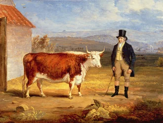 Pan James Hodges i jego dwuletnia Hereford Heifer, ok. 1843 r.