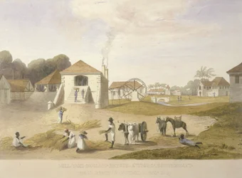 Mill Yard, Holland Estate, St. Thomas na wschodzie