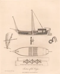 Sekcja Canja