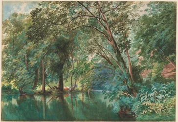 Drzewa nad rzeką Frome w Stapleton