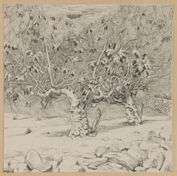 Drzewo figowe, Dolina Hinnoma, ilustracja z Życia naszego Pana Jezusa Chrystusa (atrament na papierze)