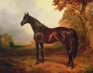 Św. Szymon, 1906