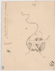 Motyl "Napotkany" (recto); Szkic końcówki (verso)