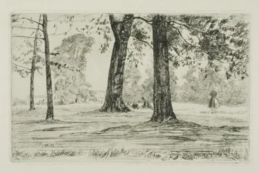 Park Greenwich
