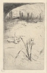 Łabędź i Irys