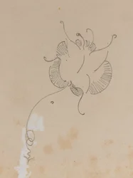 Motyl Whistlera