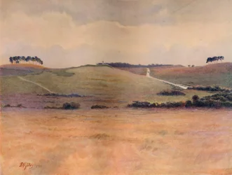 „Cobham Common”, 1911, 1914