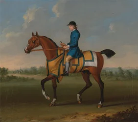 Zatokowy koń wyścigowy z Jockey Up