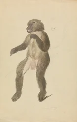 Mandryl