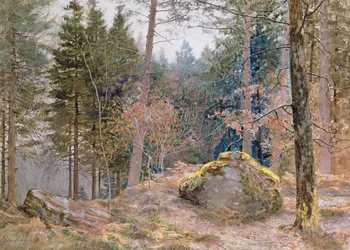 W walijskim lesie, zima
