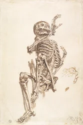 A Human Skeleton (pióro i tusz do mycia i ołówek na papierze) (odbytnicy)