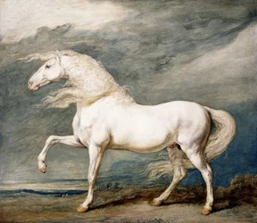 Adonis, ulubiony ładowacz króla Jerzego III,
