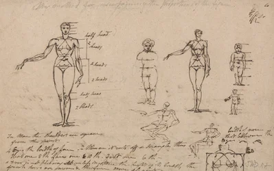 Badania anatomii, pomiary i pisanie