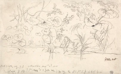 Badania roślin, 2 sierpnia 1815