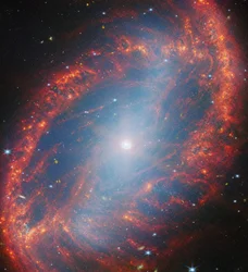 Dokładne spojrzenie na lokalną galaktykę (NGC 2566)
