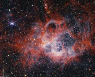 Zaglądamy w macki NGC 604 za pomocą teleskopu Webb należącego do NASA