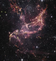 Dyski protoplanetarne w NGC 346 (zdjęcie wykonane kamerą NIRCam)