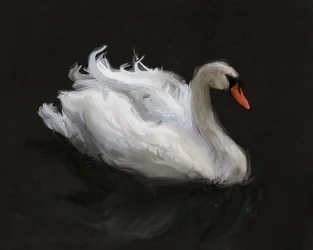Wdzięczny biały łabędź