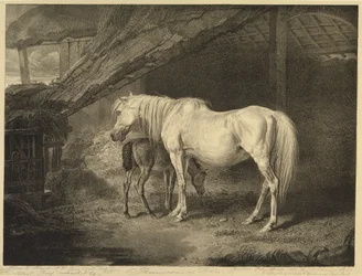 Pierwiosnek i źrebię, z Celebrated Horses, zestaw czternastu rycin wyścigowych wydanych przez artystę, 1823-24