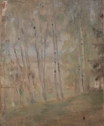 Mariino - Brzózki