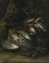 Kuropatwa i małe ptaki łowne, 1650.
