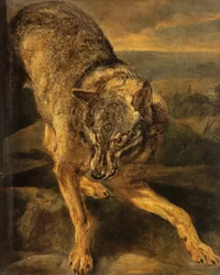 Wilk