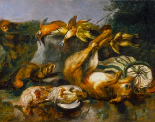 Martwa zwierzyna i łasice