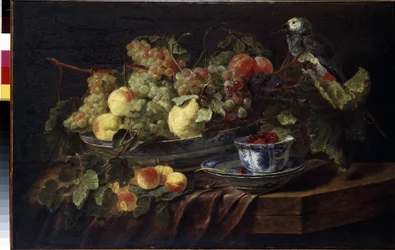 "Martwa natura z owocami i papugą" (Martwa natura z owocami i papugą) Obraz Jana (Johannesa) Fyta (1611-1661) 1645 Wymiary 58,3x90,7 cm Ermitaż, Sankt Petersburg