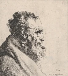 Popiersie starca, 1620-74.