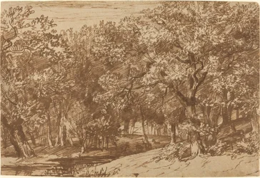 Park jeleni