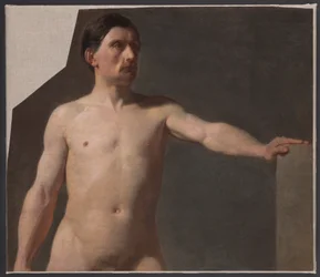 Akt męski - Tors figury męskiej