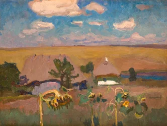 Słoneczniki