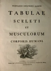 Albinus I, strona tytułowa, z książki „Mięśnie szkieletowe i mięśnie ludzkiego ciała” autorstwa Bernharda Siegfrieda Albinusa (1697-1770), opublikowanej przez J.undH. Verbeek, bibliop., Leiden, 1747