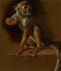 Siedząca małpa