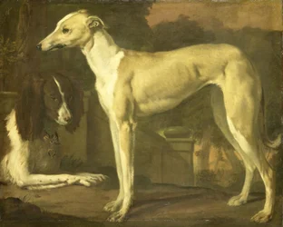 Portret charta i spaniela