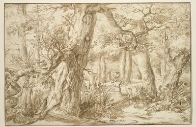 Wnętrze leśne z rysownikiem, ok. 1664 (brązowy tusz na antycznym papierze układanym)