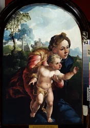 Dziewica z Dzieciątkiem, 1530