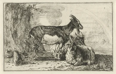 kozy Zwierzęta (tytuł serii) Zoografia (tytuł serii)