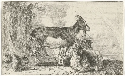 kozy Zwierzęta (tytuł serii) Zoografia (tytuł serii)