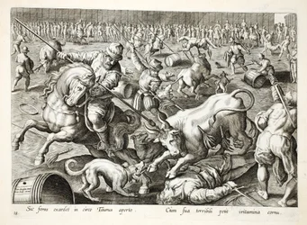 Masowa walka byków w zagrodzie, ilustracja z „Venationes, Ferarum, Avium, Piscium” (O polowaniach: dzikie zwierzęta, ptaki, ryby), sztych. Jan Collaert (1566-1628), wyd. przez Phillipusa Gallaeusa, Amst