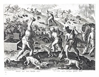 Wykopywanie i chwytanie borsuków, ilustracja z „Venationes, Ferarum, Avium, Piscium” (O polowaniu: dzikie zwierzęta, ptaki, ryby), sztychowana przez Jana Collaerta (1566-1628), wyd. przez Phillipusa Gallaeusa, Ams