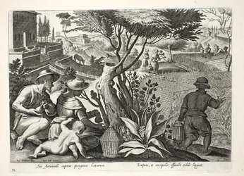 Polowanie na przepiórki, ilustracja z "Venationes, Ferarum, Avium, Piscium" (O polowaniu: dzikie zwierzęta, ptaki, ryby), rycina Jana Collaerta (1566-1628), wyd. Phillipus Gallaeus, Amsterdam