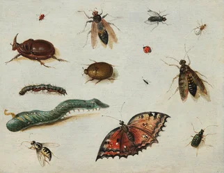 „Owady” (Owady) Obraz Jana Van Kessel Starszego (1626-1679) Olej na desce Wym. 13x16,5 cm Fondation Custodia