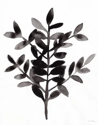 Botaniczny z paprocią Nagi III (tusz na papierze)