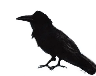 Raven at Baker Beach, ok. 2023 (mieszane media na papierze)