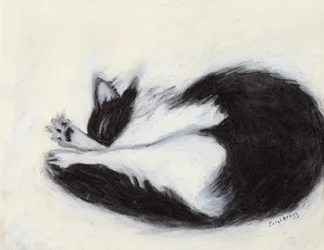 Thomas ucinający sobie drzemkę, ok. 2018 (węgiel i pastel na papierze)