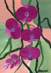 Kwiaty orchidei w kolorze magenta