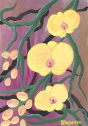 Żywe żółte orchidee
