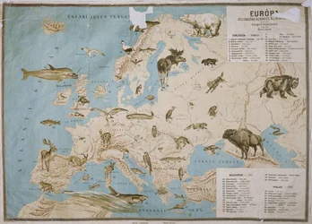 Mapa zwierząt w Europie, (rycina kolorowa)