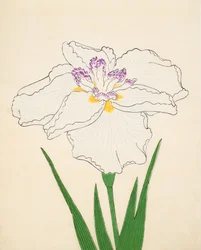 Cho-Hiyen, nr 91, 1890 (kolorowa odbitka drzeworytnicza)
